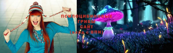 дмт Кулебаки