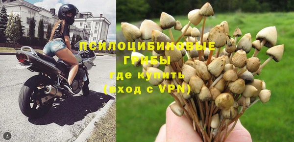 гидра Лабытнанги