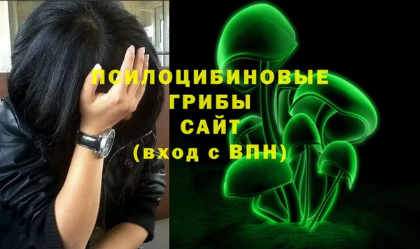 МДПВ Липки