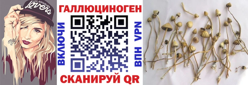Псилоцибиновые грибы Magic Shrooms  Кубинка 